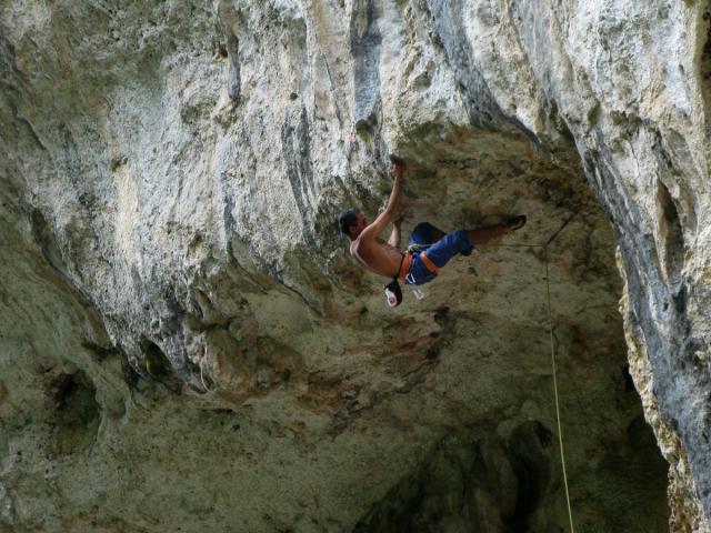 Domenico Intorre su Calliphora