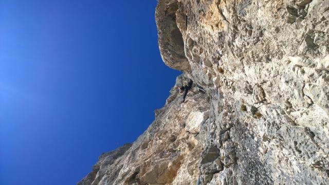 Lorenzo Rossetti, sulla OPEC