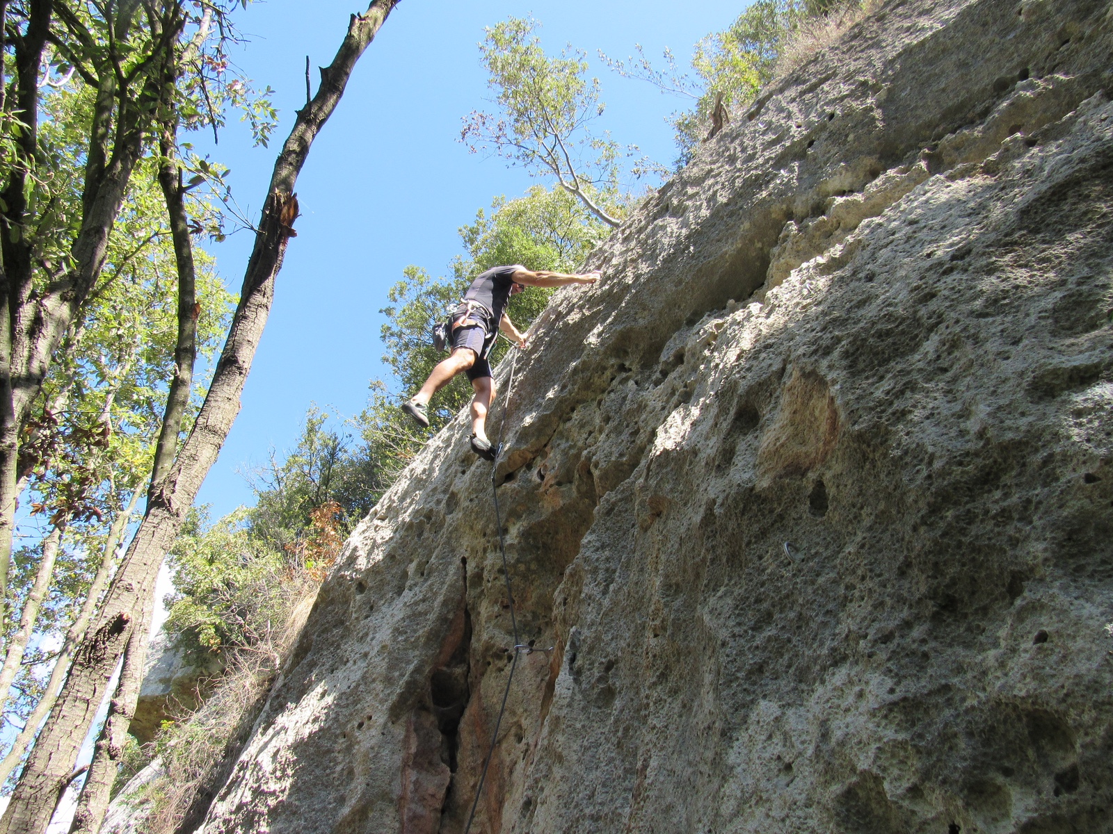 Giorgio Delfino su Asteroid (6a)
