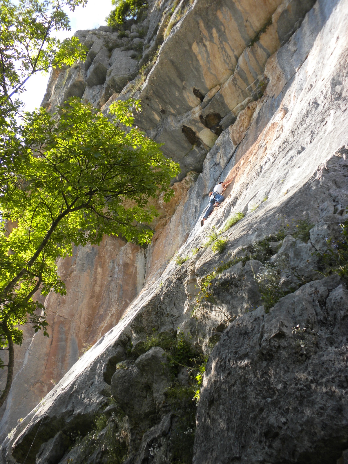 Una scalatrice su Cipollina (4a+)