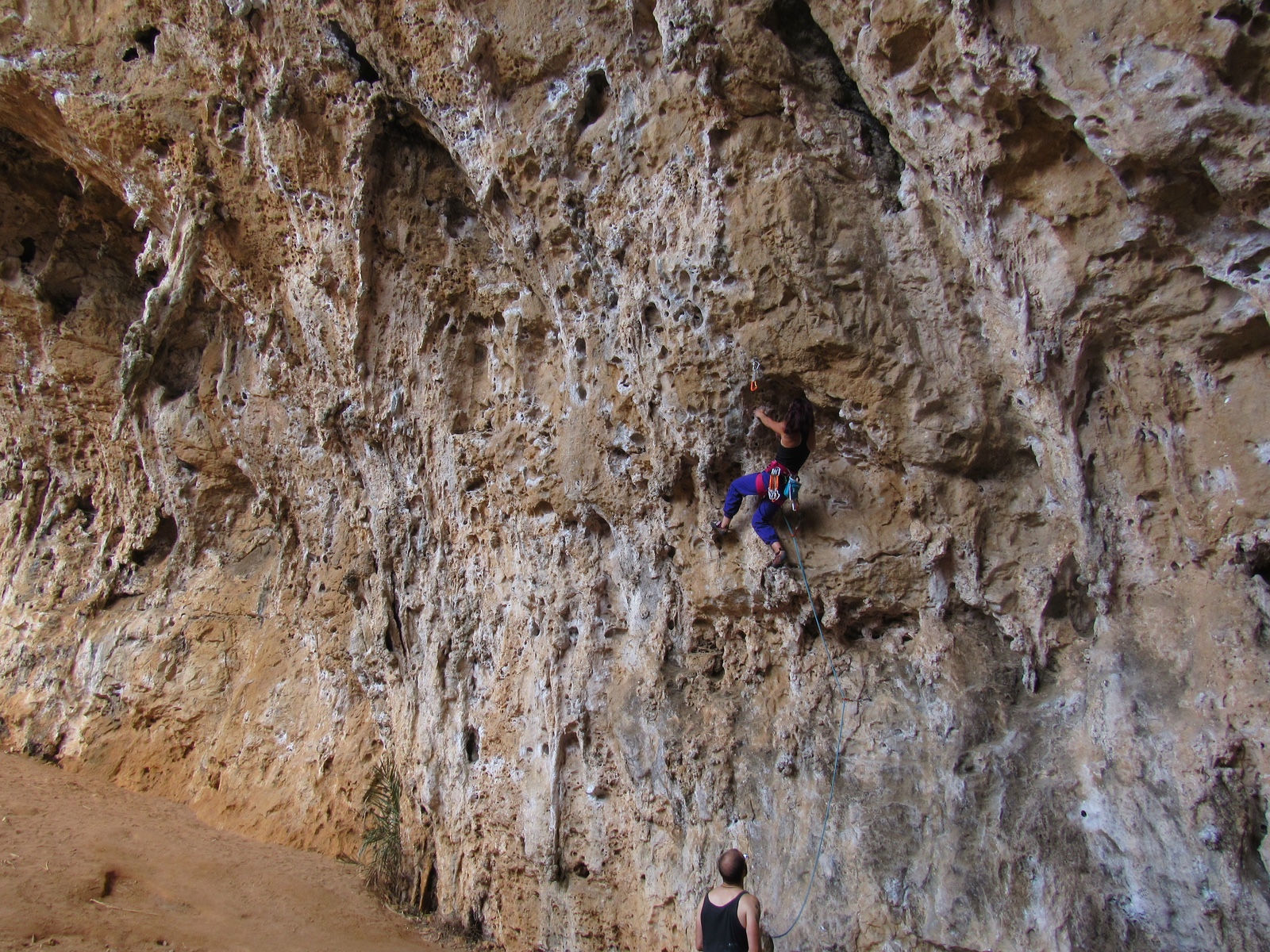 Grotta dell'Arenauta, Abbaida ba... nu purcu