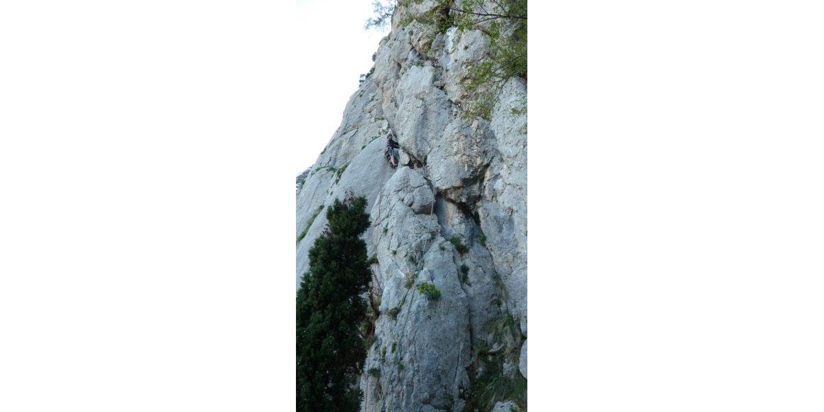 Canolo, Gli occhi dell'Utopia