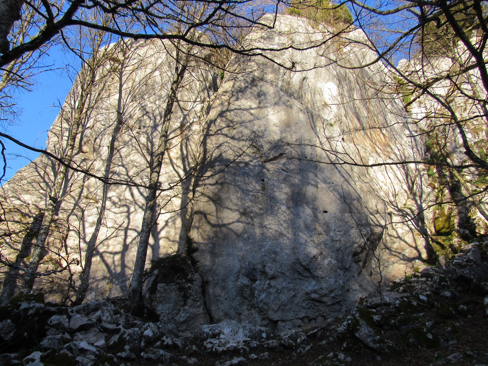Fonte del Frate, Blocco PiGi