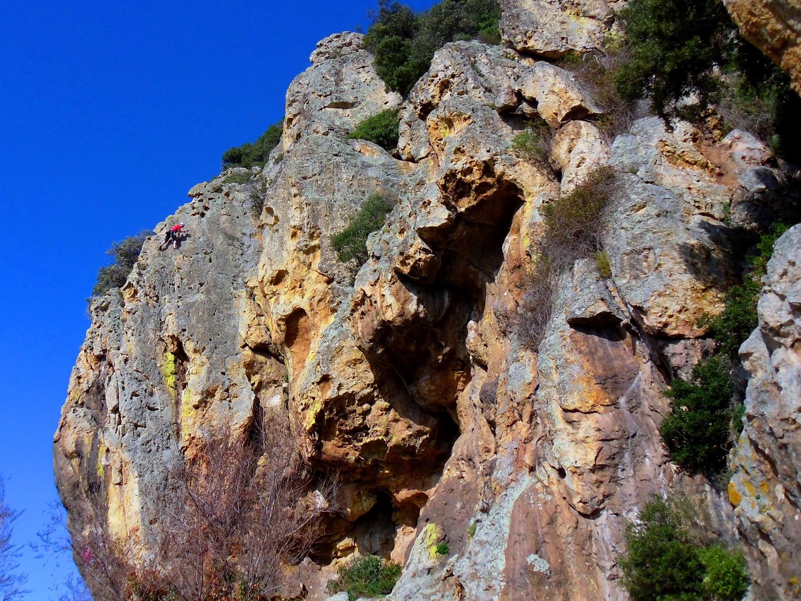 Emiliano Della Bella su il velo di Maia (5b)