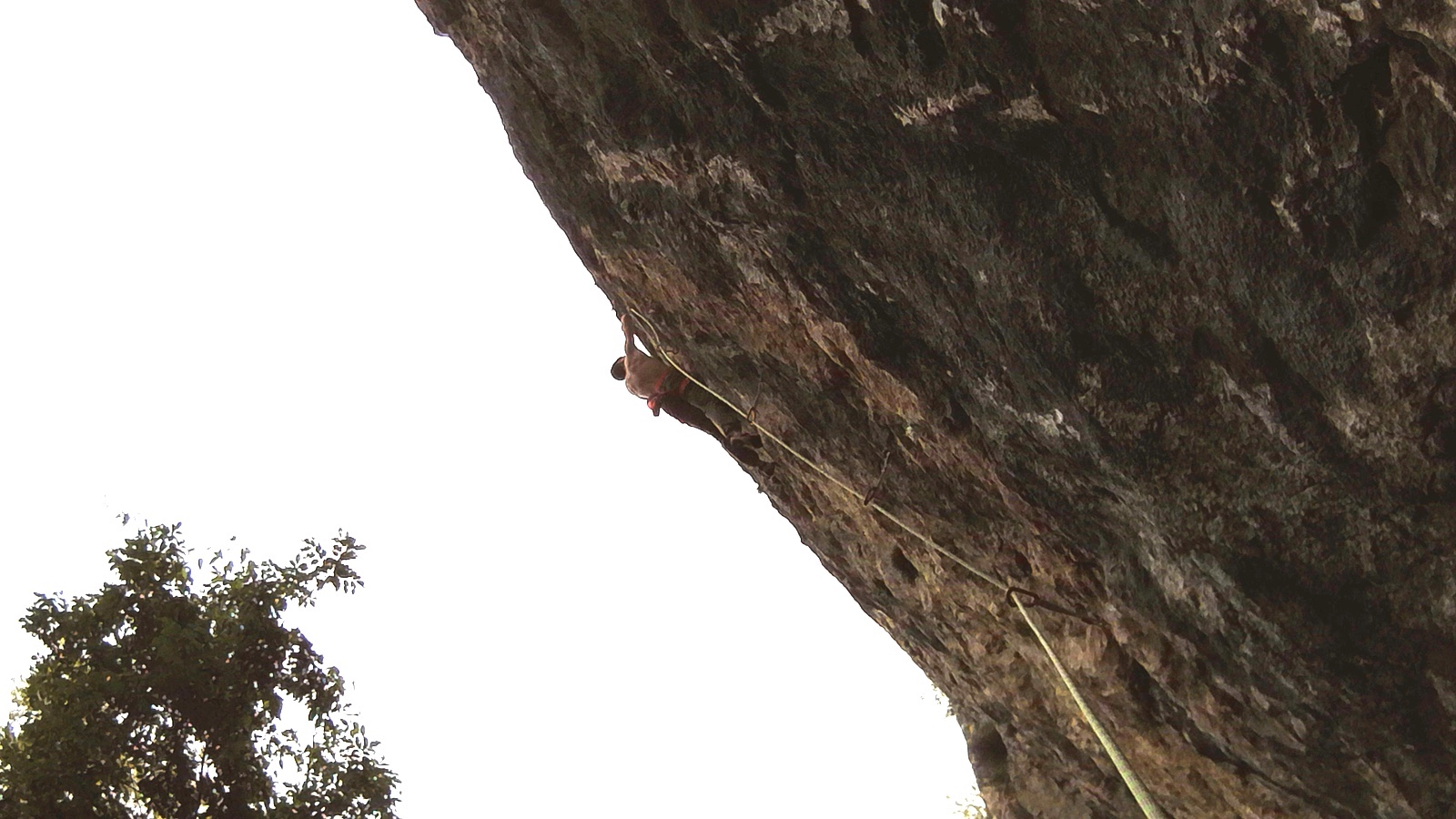 Andrea D'Addazio su Tapirulan (8a)