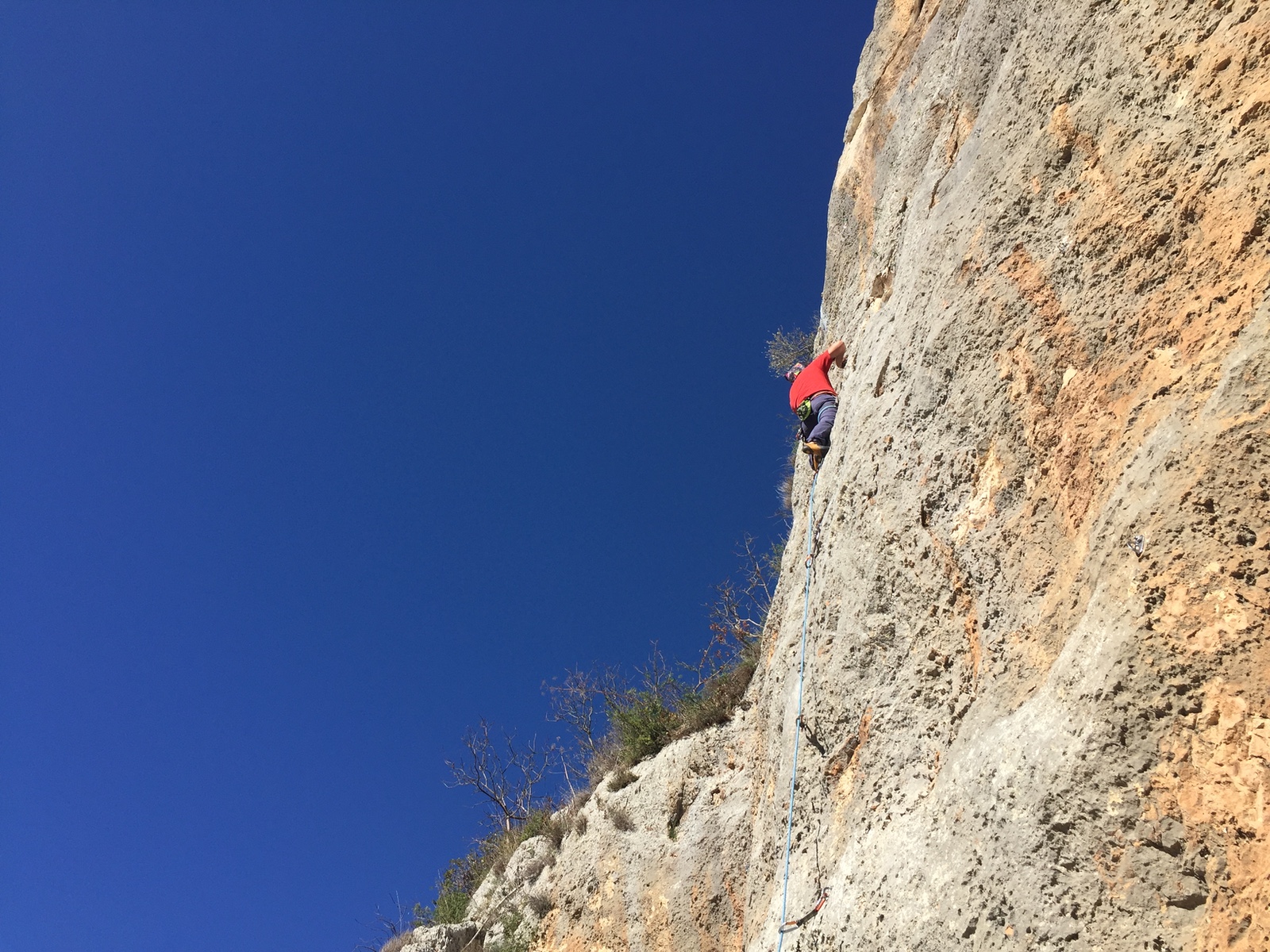 Ermanno Busetti su Upside Down