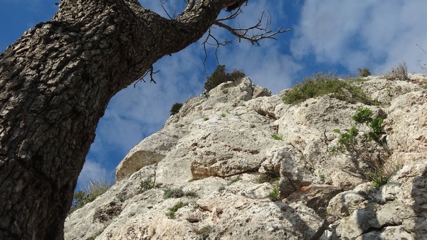 Argentario - Spigolo delle Canne d'Organo