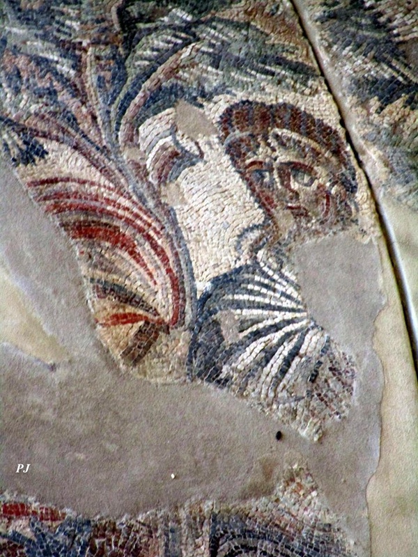 Villa romana del Tellaro - L'Africa