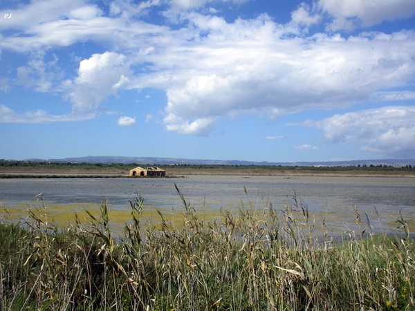 Vendìcari, Pantano Grande