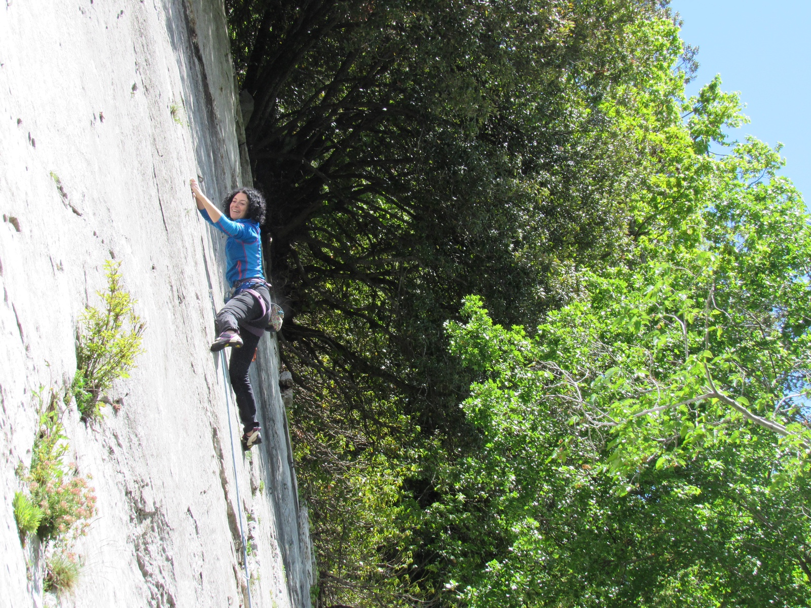 Millepiedi: Assunta su Frida (5c)