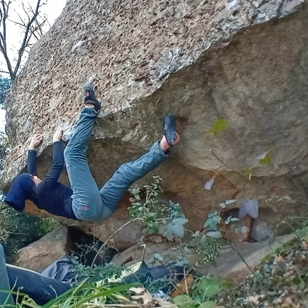 Bronte Bloks - Another byte to the toast