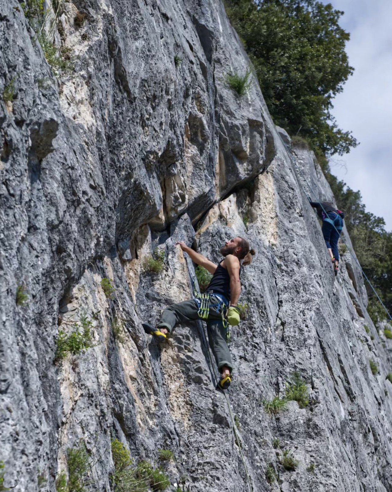 Pale - Variante Delirio Tremens