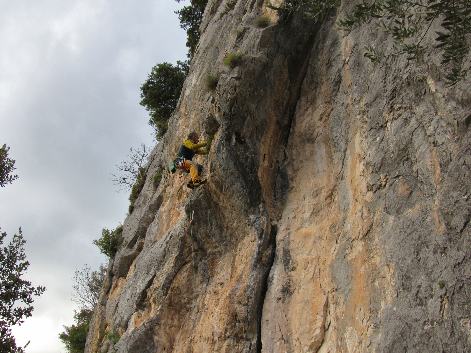 Pale - Gocce di Rugiada