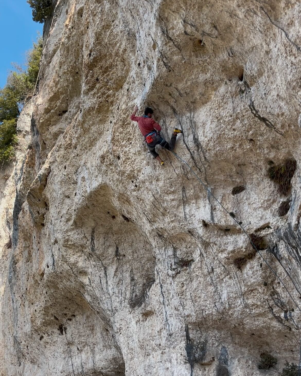 La Fortezza - White Rabbit