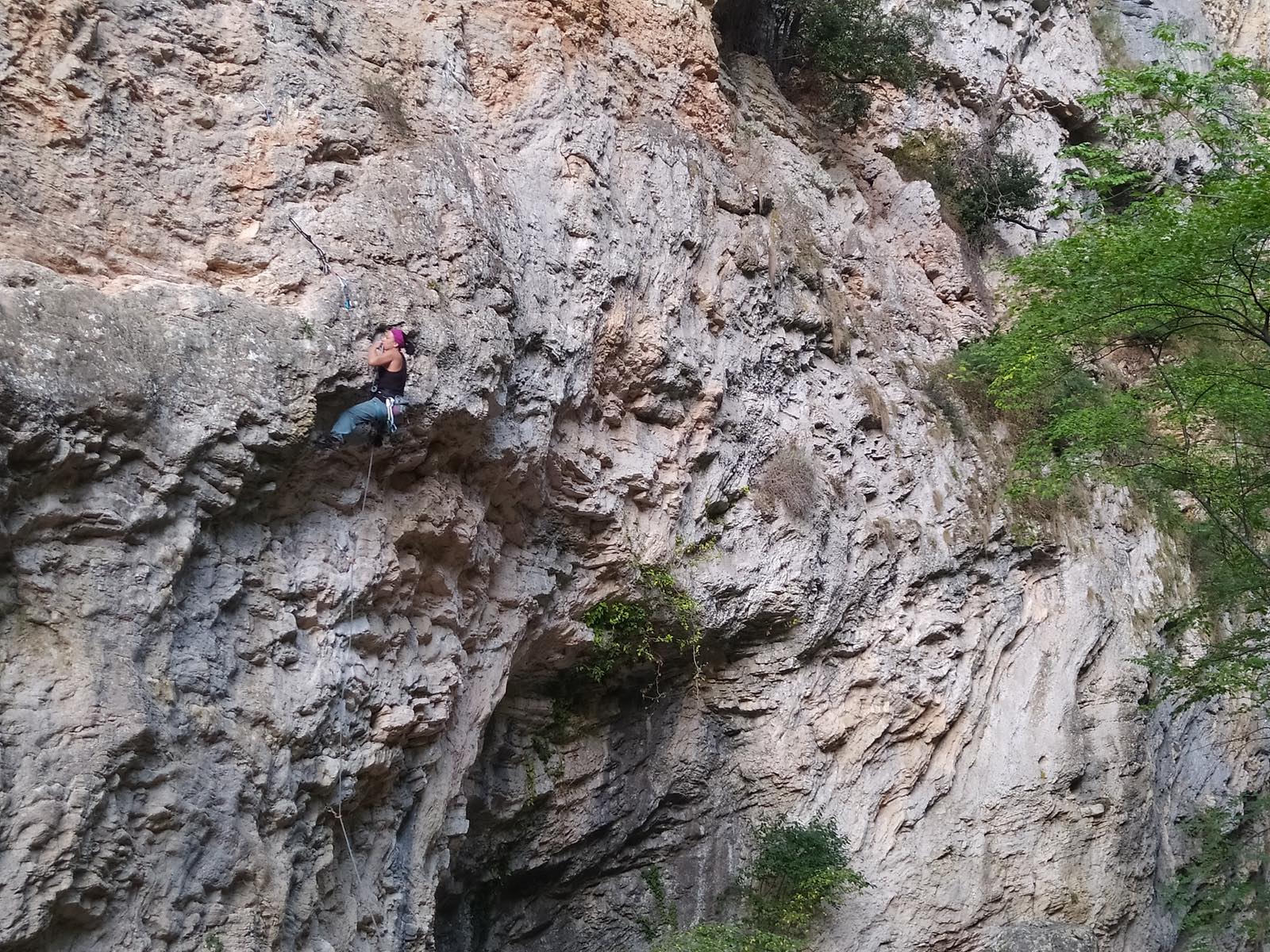 Gole del Salinello - Zanzare fastidiose diretta