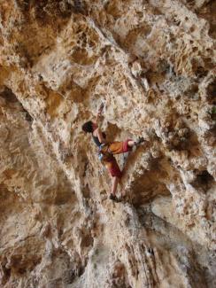 Grotta dell'Arenauta - Vitale 1°