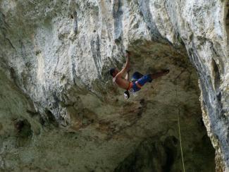 Domenico Intorre su Calliphora extension