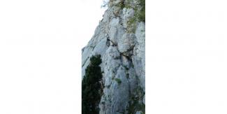 Canolo, Gli occhi dell'Utopia