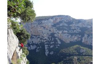 Valle Aquila vista dalla Falesia della Coccinella