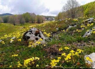 Campo Staffi: giornata ecologica di primavera 
