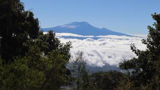 View from the Mount Meru: The Kilimanjaro