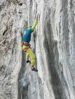 Francesco Poderini a Sulfuria su L'Aquila e la Fenice