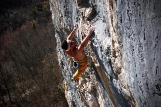 Carpineto della Nora - Mental Noise