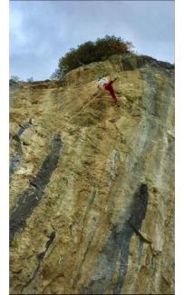 Carpineto della Nora - Ego