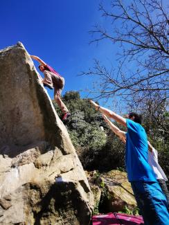 Bosco Scorace - Bevaio