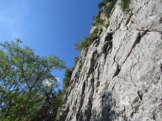 Pale - Così fan tutte