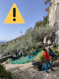 Pale - Uccellessa: Normanno e Dov'è Dante saranno schiodate 