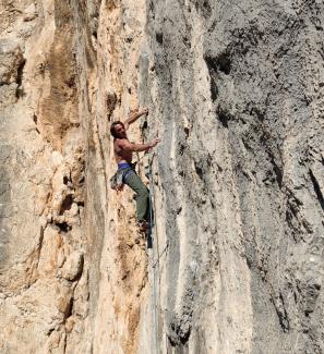 Peter Pan - Mai una gioia