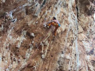 Crown of Aragon - Godfather