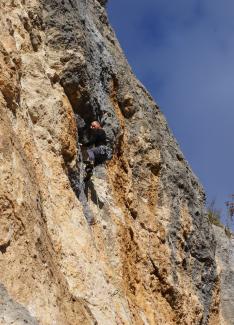 Fano Adriano - Coccia d'argento