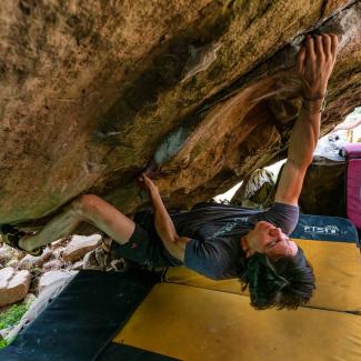 Bosco Scorce - Sandy