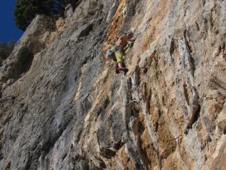 Gabbio - Troppa Informazione