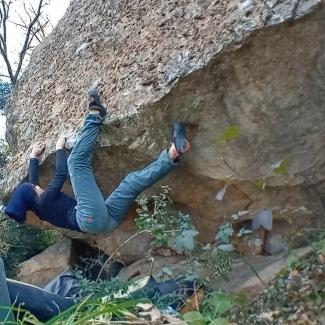 Bronte Bloks - Another byte to the toast