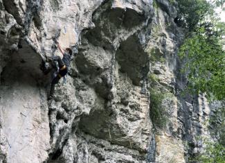 Ceselli - SuperMario