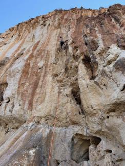 Fungo di Parco Cerriolo - Keep Cool