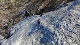 Placca del Tecchiaiolo - Bucolica