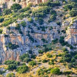 Avamcorpo di Monte Leano