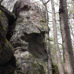 Sasso di Dante, Monte Amiata