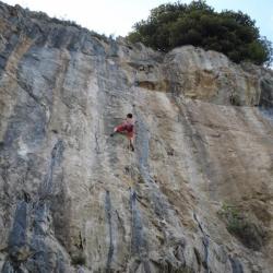 Carpineto della Nora