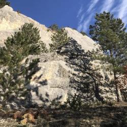 Placche di Acquasanta